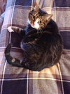 TURSEY - Offered by Owner - Friendly in/out