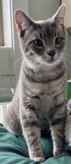 TURNIP - Offered by Owner