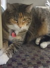 SCARLETT & PRECIOUS - Offered by Owner