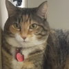 SCARLETT & PRECIOUS - Offered by Owner