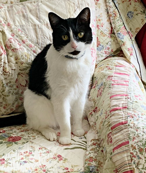 MINNIE PEARL - Offered by Owner