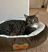 JUICY - Offered by Owner - Young Female