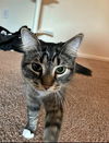 JUICY - Offered by Owner - Young Female