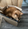 SONAR - Offered by Owner