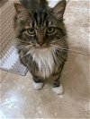 BABE - Offered by Owner - Beautiful Senior