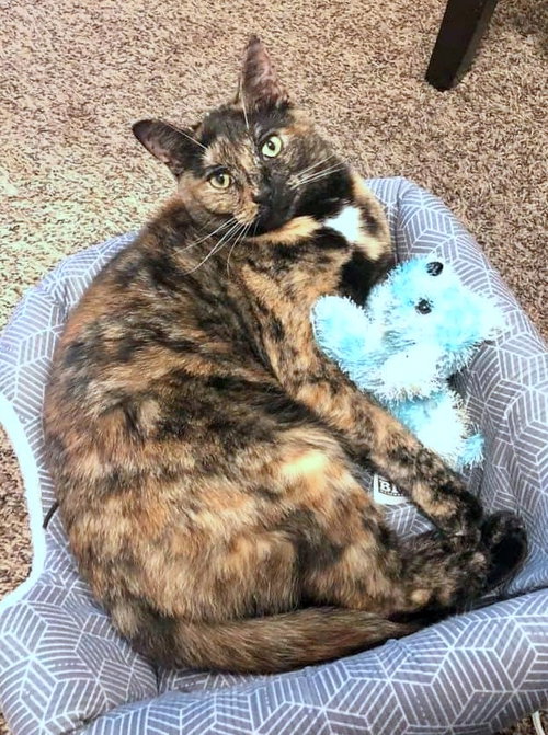 MIMI - Offered by Owner