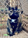 MIMI - Offered by Owner