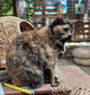 MIMI - Offered by Owner