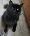 MARIO - Offered by Owner - Friendly Senior