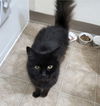 MARIO - Offered by Owner - Friendly Senior