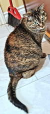 TWINKLE - Offered by Owner