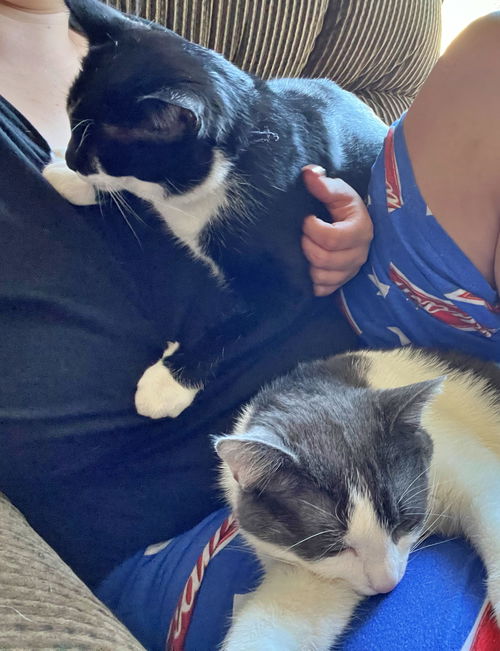PEPSI and SISSY - Offered by Owner