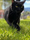 BEAUTY - Offered by Owner