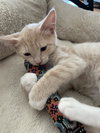 Draco and Kitters  together