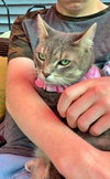 LUNA - Offered by Owner