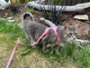 LUNA - Offered by Owner