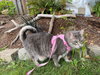 LUNA - Offered by Owner