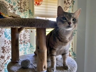 LUNA - Offered by Owner