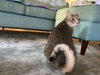LUNA - Offered by Owner