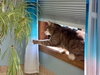 LUNA - Offered by Owner