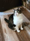 KITTY CARLISLE - Offered by Owner