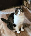 KITTY CARLISLE - Offered by Owner