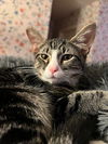 LEON - Offered by Owner