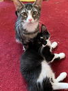 LEON - Offered by Owner
