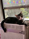 LEON - Offered by Owner
