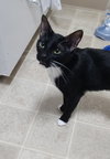 MIDNIGHT - Offered by Owner - Kid friendly!