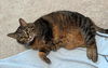 KIKI - Offered by Owner