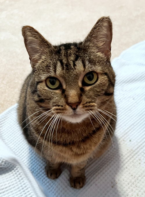 KIKI - Offered by Owner