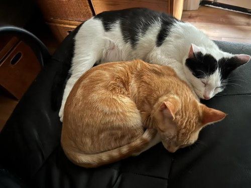 OLIVER & PETE
