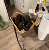MATEO - Offered by Owner - Young male