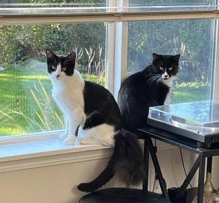 CONNOR & MURPHY