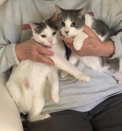 OREO & TOBY