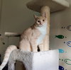 Milo