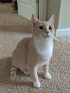 Milo