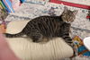 BEN - Offered by Owner - PLEASE READ!!