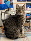BEN - Offered by Owner - PLEASE READ!!