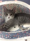 ARCHER & AUSTIN - Offered by Owner - Bonded Pair