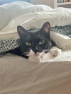CELA - Offered by Owner - Young female