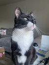CELA - Offered by Owner - Young female