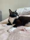 CELA - Offered by Owner - Young female