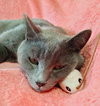 CLARK - Offered by Owner