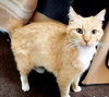 SOPHIE - Offered by Owner - Senior Star