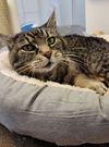 CLEO - Offered by Owner