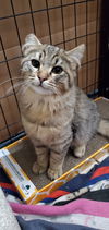 Maya and her son Armani - Offered by Owner