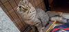 Maya and her son Armani - Offered by Owner