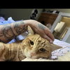 POPPY - Offered by Owner - Super sweet!